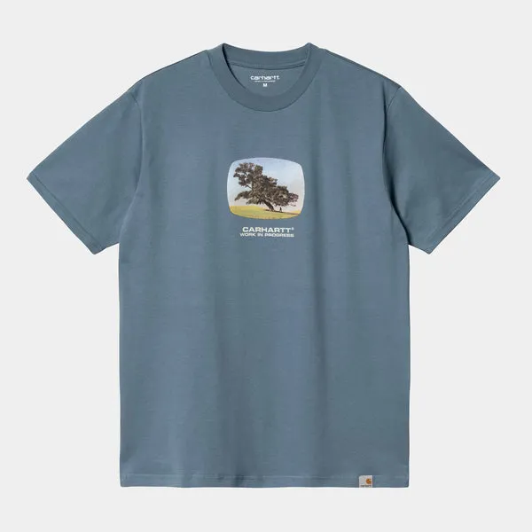 Carhartt WIP Seeds T-Shirt - Storm Blue